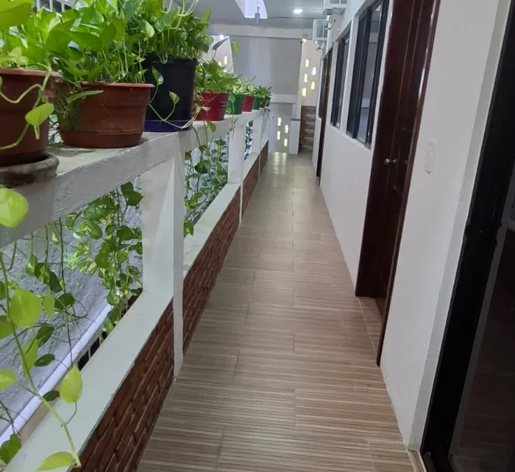 Pasillo con jardineras y macetas de Casa Llanos en Tecolutla