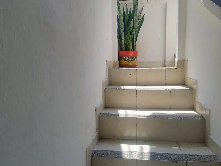 Escalera de acceso a Habitaciones Mary con plantas en macetas