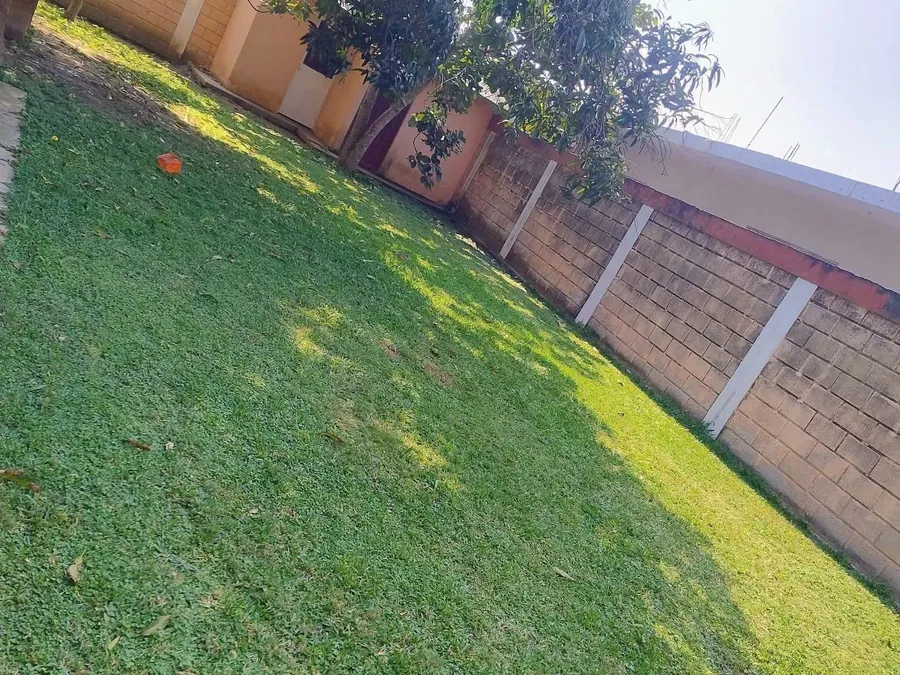 Jardín trasero de Casa Ceci con árbol y barda perimetral