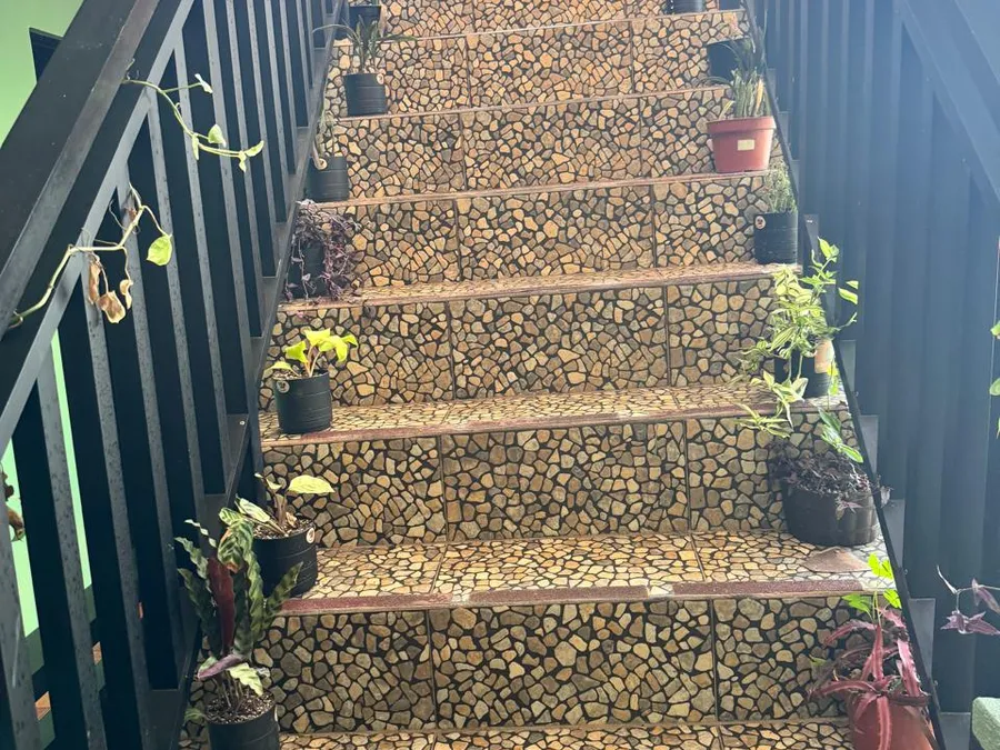 Escalera interior de Casa de Huéspedes Microhotel decorada con plantas