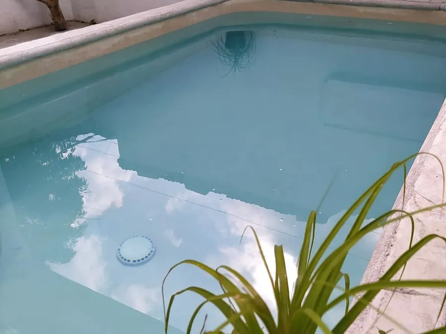 Alberca de Casa Mandala con agua turquesa y plantas alrededor